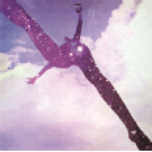 Free LP