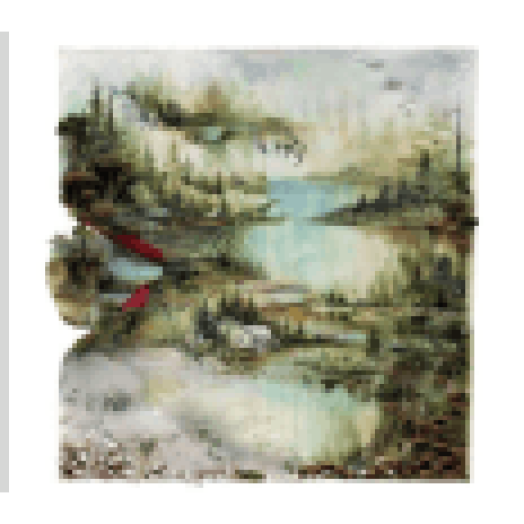 Bon Iver CD