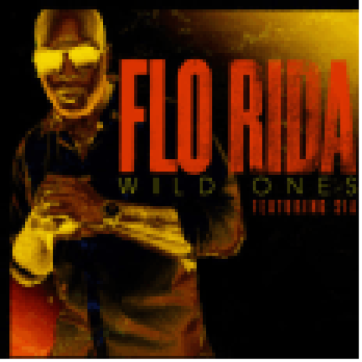 Wild Ones CD