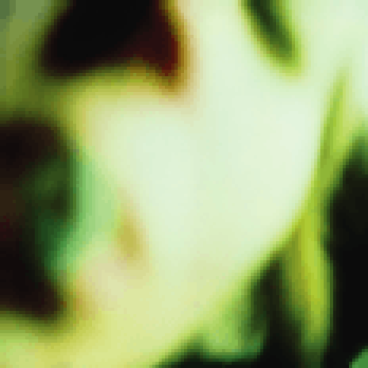 Pisces Iscariot CD