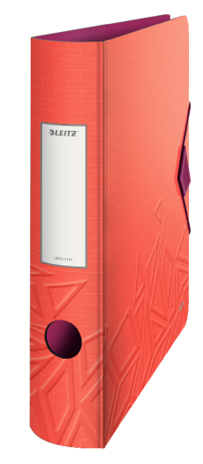 Leitz Active UrbanChic iratrendező 65 mm