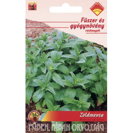 ZÖLDMENTA GYÓGY- ÉS FŰSZERNÖVÉNY