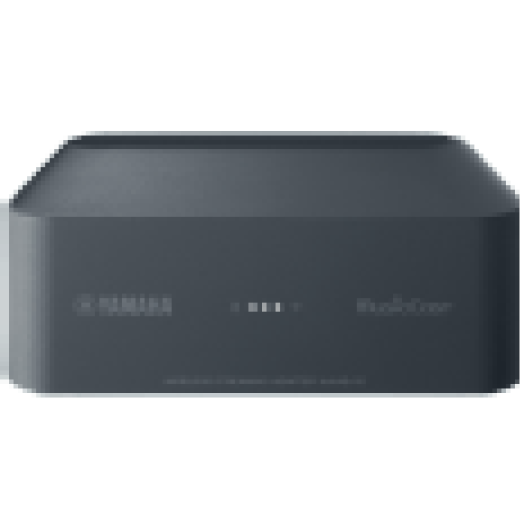 WXAD10DGY MusicCast adapter