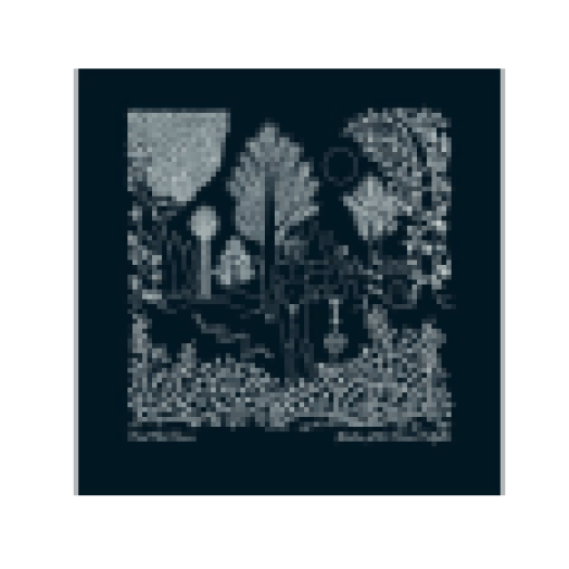 Garden of the Arcane Delights (CD)