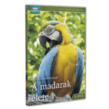 BBC Madarak élete DVD