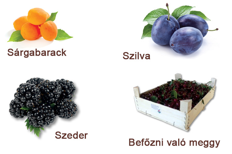 szilva-barack-meggy-szeder-befőzés-auchan