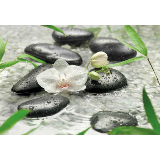 FOTÓTAPÉTA PURE ORCHIDEA 368X254CM