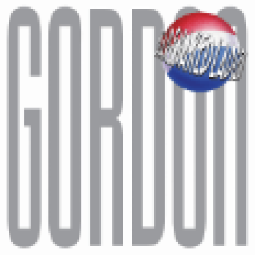 Gordon (Vinyl LP (nagylemez))