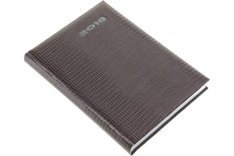 Agenda A/5 napi Iguana 5321