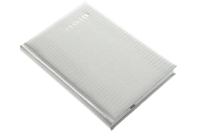 Agenda A/5 napi Iguana 5321