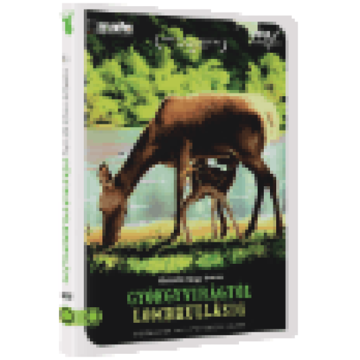 Gyöngyvirágtól lombhullásig (DVD)