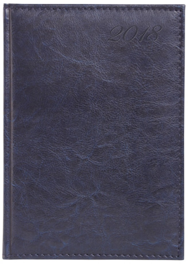 Agenda Image I020 B/5 napi kék