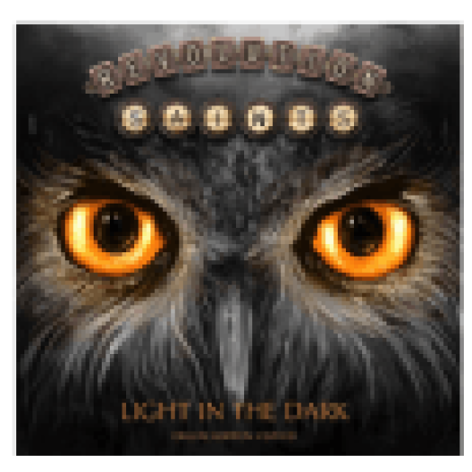 Light In The Dark (Digipak) (CD + DVD)
