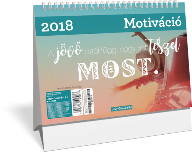Lizzy asztali kéthetes tervező naptár Motiváció