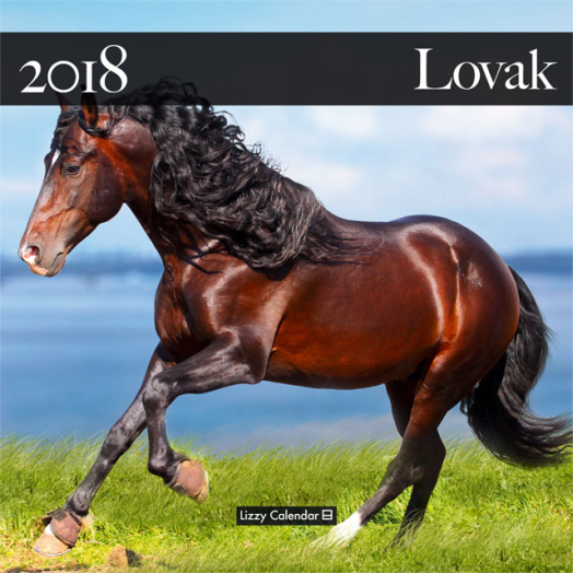 Lizzy közepes lemeznaptár Lovak