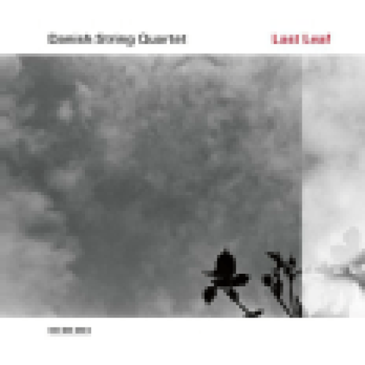 Last Leaf (CD)