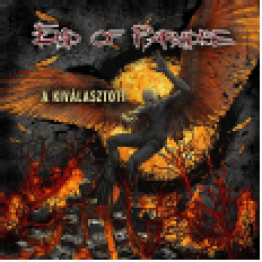 A kiválasztott (CD)