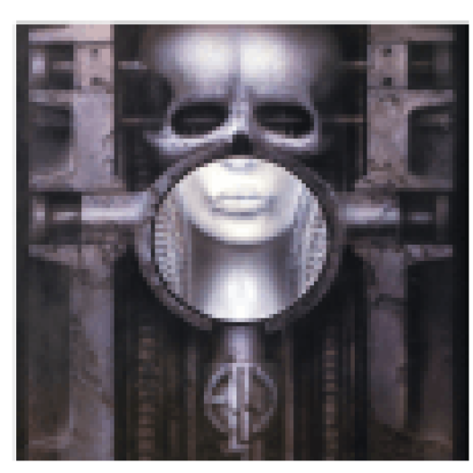 Brain Salad Surgery (Vinyl LP (nagylemez))