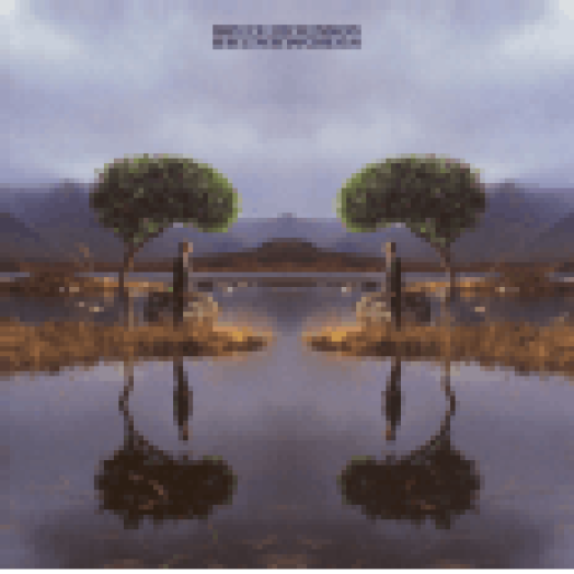 Skunkworks (CD)