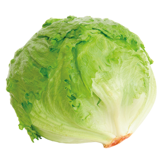 JÉGSALÁTA