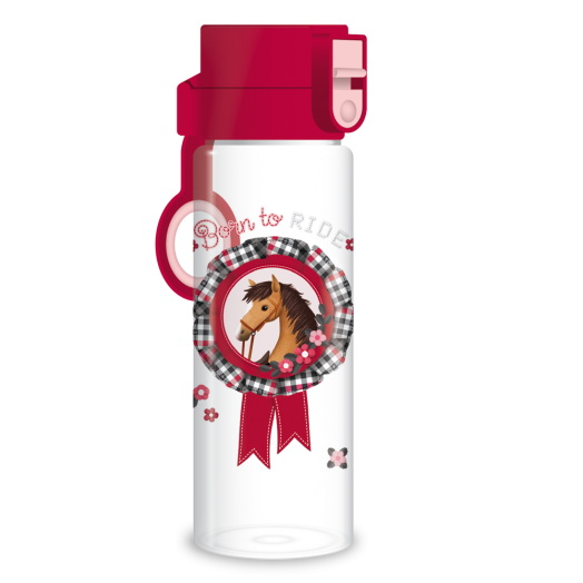 Born to ride kulacs-500 ml