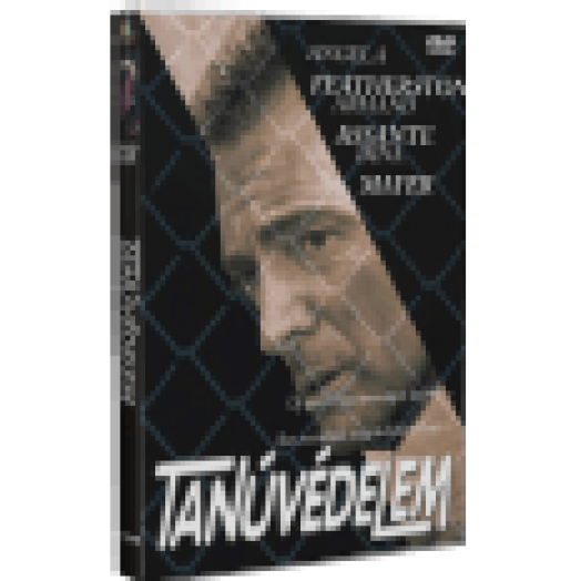 Tanúvédelem (DVD)