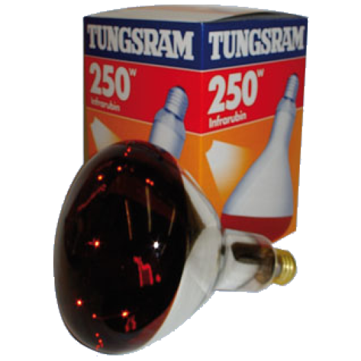TUNGSRAM INFRARUBIN 250W