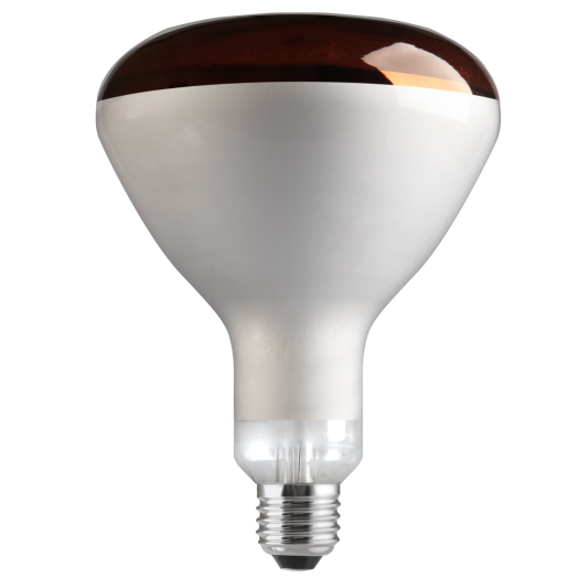 INFRARUBIN 100W R95