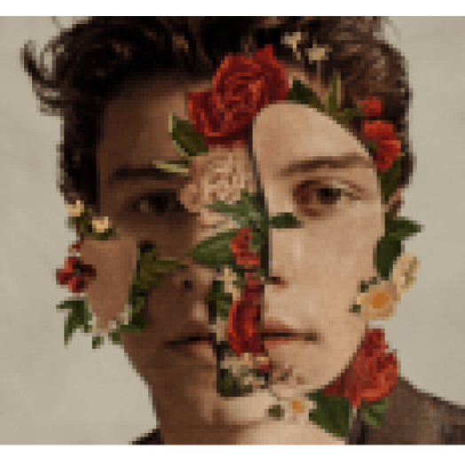 Shawn Mendes (CD)