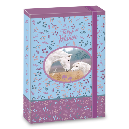 Fairy Manor füzetbox A/4