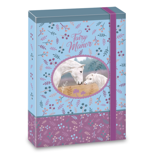 Fairy Manor füzetbox A/5