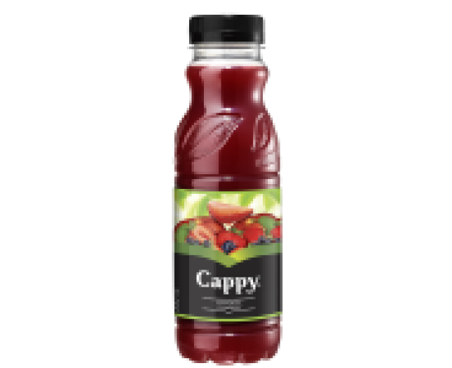 Cappy 0,33l PET