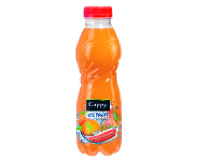 Cappy Ice Fruit 0,5l PET