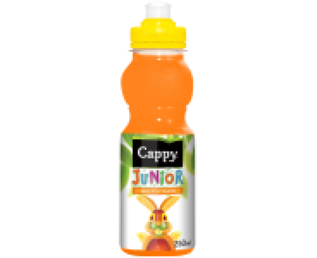 Cappy junior 0,25l multivitamin PET