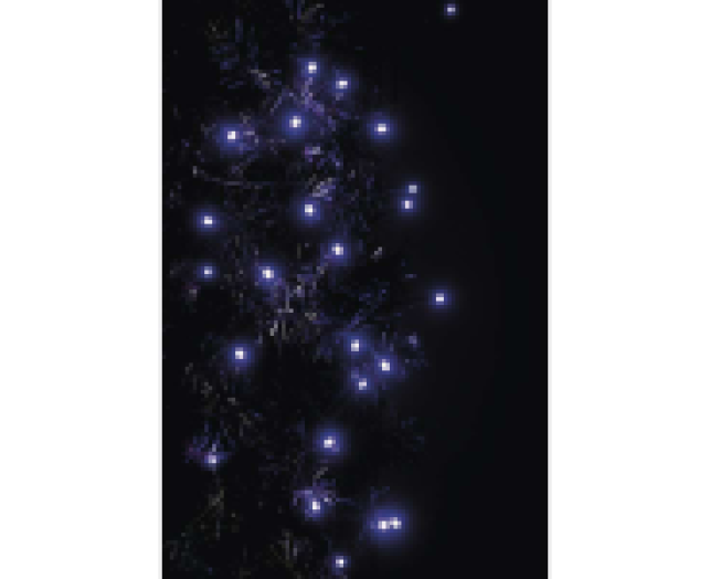 Emos connect - kar.fényfüzér 10m, 100LED, IP44, lila