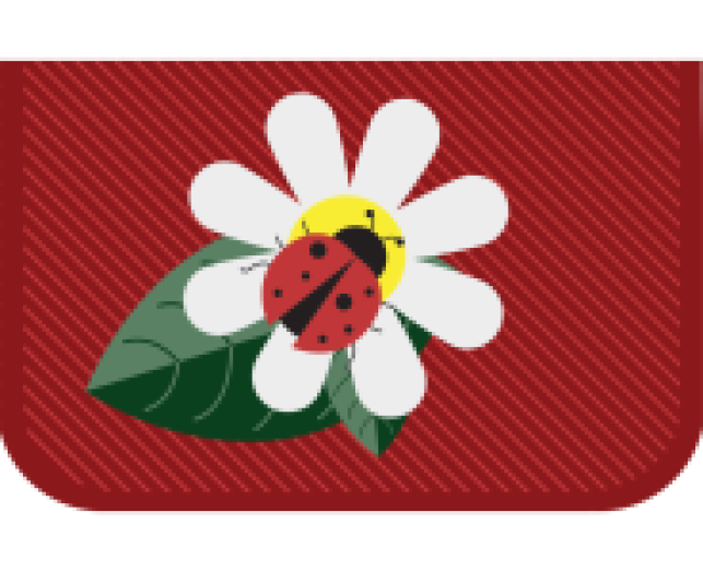 Fűzfői klapnis tolltartó Ladybug