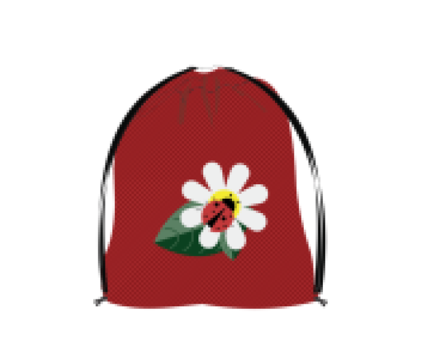 Fűzfői sportzsák Ladybug