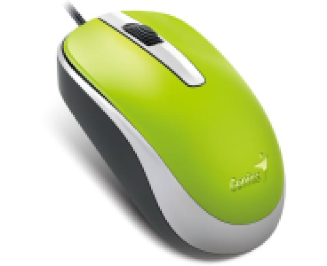 Genius DX-120 USB egér zöld