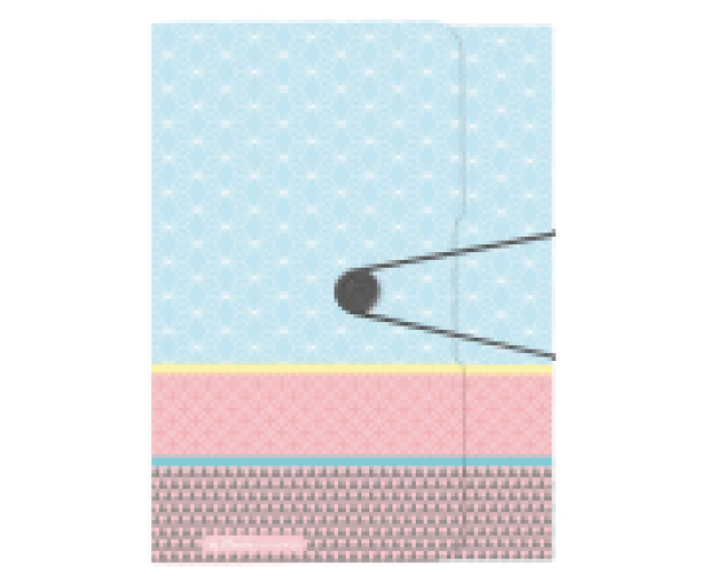 Herlitz gumis füzetbox PP A4 Graphic Pastel