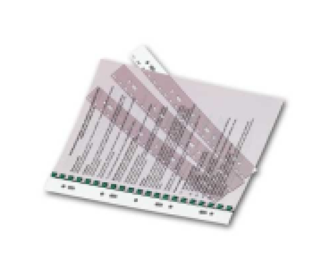 Iratrendezőbe függeszthető gerinc, 100db/cs