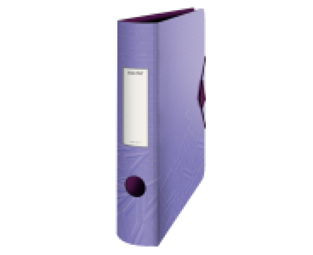 Leitz Active UrbanChic iratrendező 65 mm