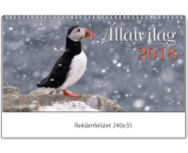 TopTimer asztali naptár T058 álló Állatvilág