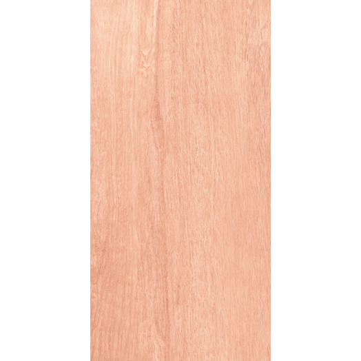 AGEX GRES PADLÓLAP 30X60CM KRÉM FA MINTÁS 1,26M2/CS PEI4 FAGYÁLLÓ