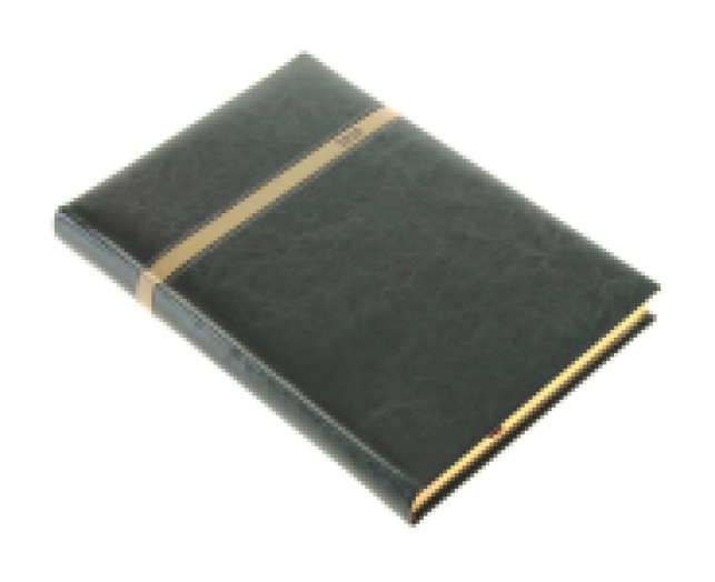 Agenda B/5 napi Business 5624