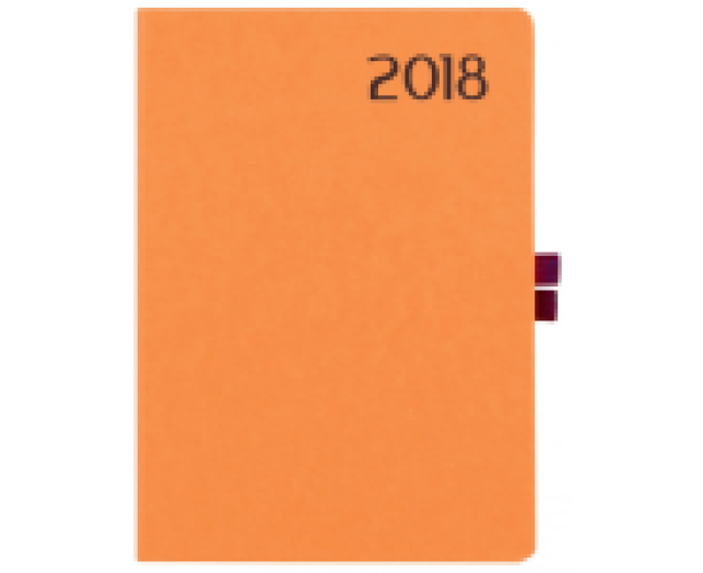 Agenda Rainbow  R022 B6 napi