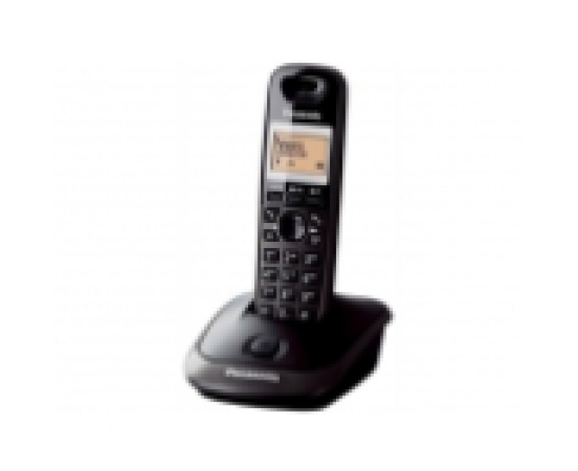 PANASONIC KX-TG2511HGT DECT