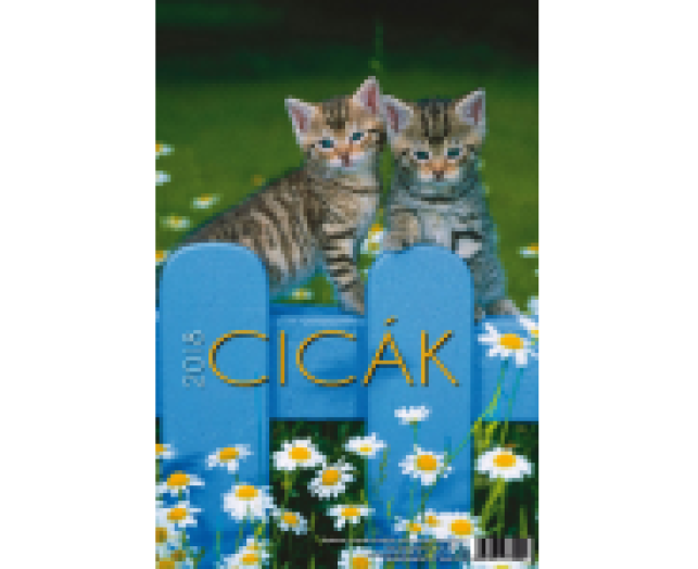 TopTimer falinaptár T094 Cicák