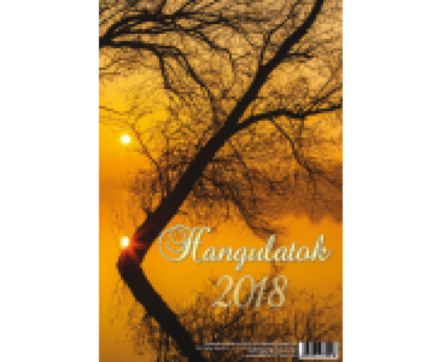 TopTimer falinaptár T094 Hangulatok