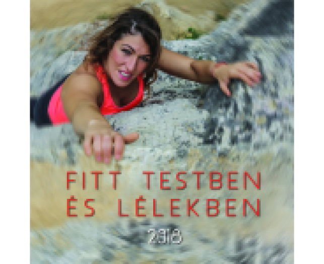TopTimer falinaptár T098 Lovak