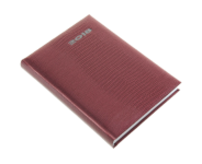 Agenda A/5 napi Iguana 5321